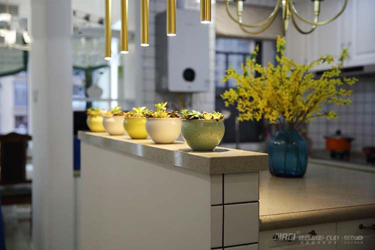 在自家厨房里能种哪些菜？不喧哗，自有“生”...