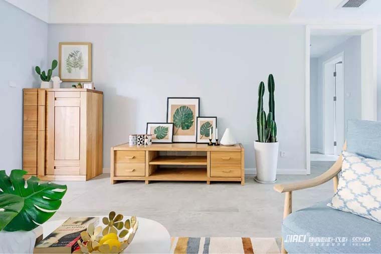 【好物推荐】瞧瞧客厅里，最好养活的那些网红绿植都有什么？