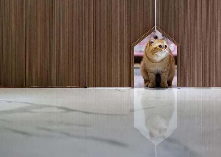 为了喵星人的“喵星球梦”，猫主子把110㎡的家设计成了这样...