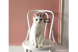 装上一面黑板墙，每天写上爱你的10件小事儿~