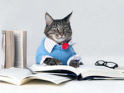 捷西整体橱柜：定制橱柜你应该知道的几件事