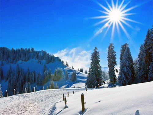 捷西橱柜：寒冬中找寻契机