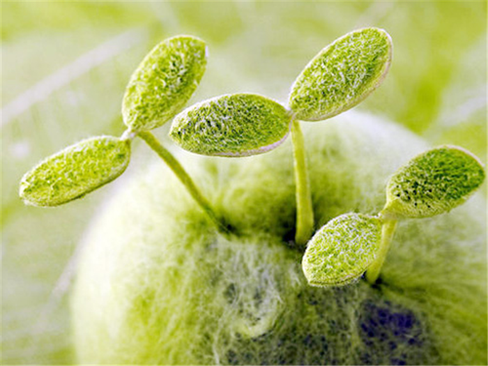 产品与团队、渠道与实力 捷西橱柜倾情出品