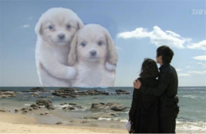 别问为什么:我只想和你一起虚度光阴