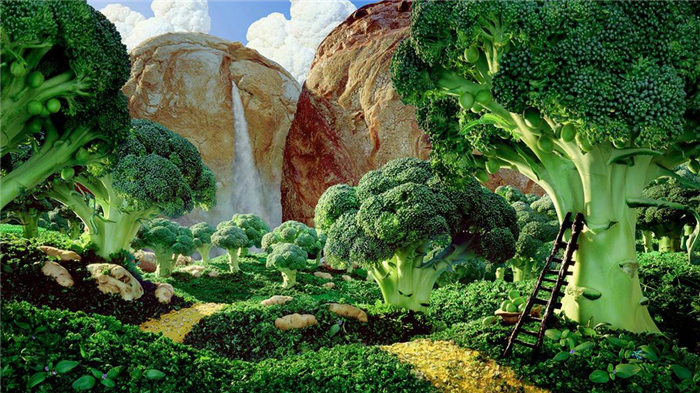 作为吃货，除了吃还能干啥？